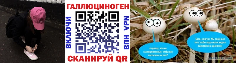 Галлюциногенные грибы GOLDEN TEACHER  Кореновск 